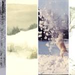 An Artist's Winter Wonderland